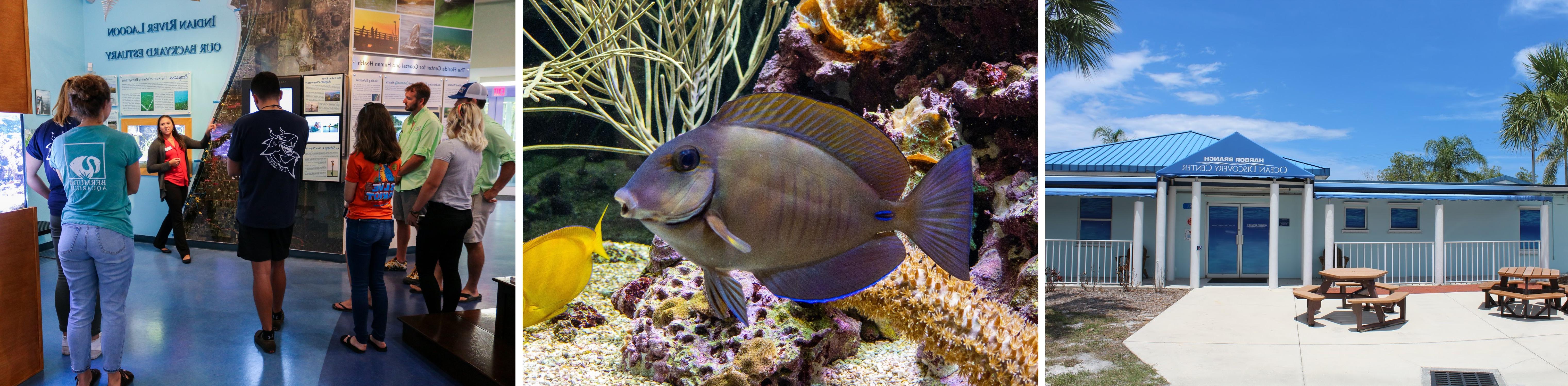 Ocean Discovery Visitors Center